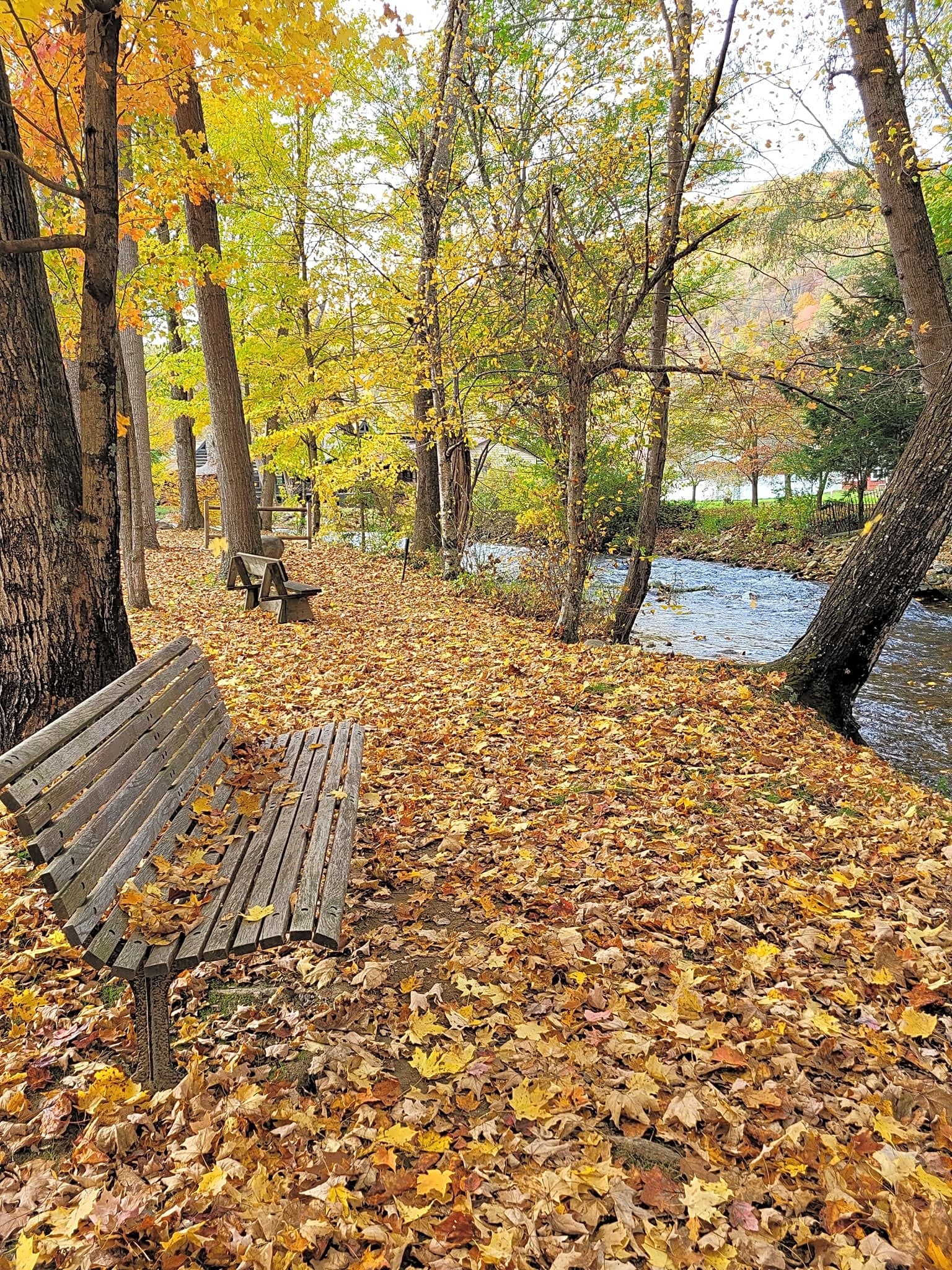 Stonebridge RV Resort
