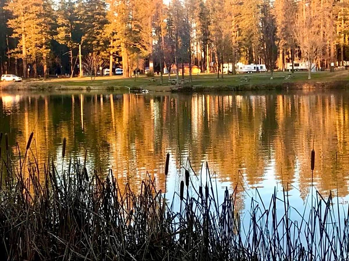 Nevada County Fairgrounds RV Park