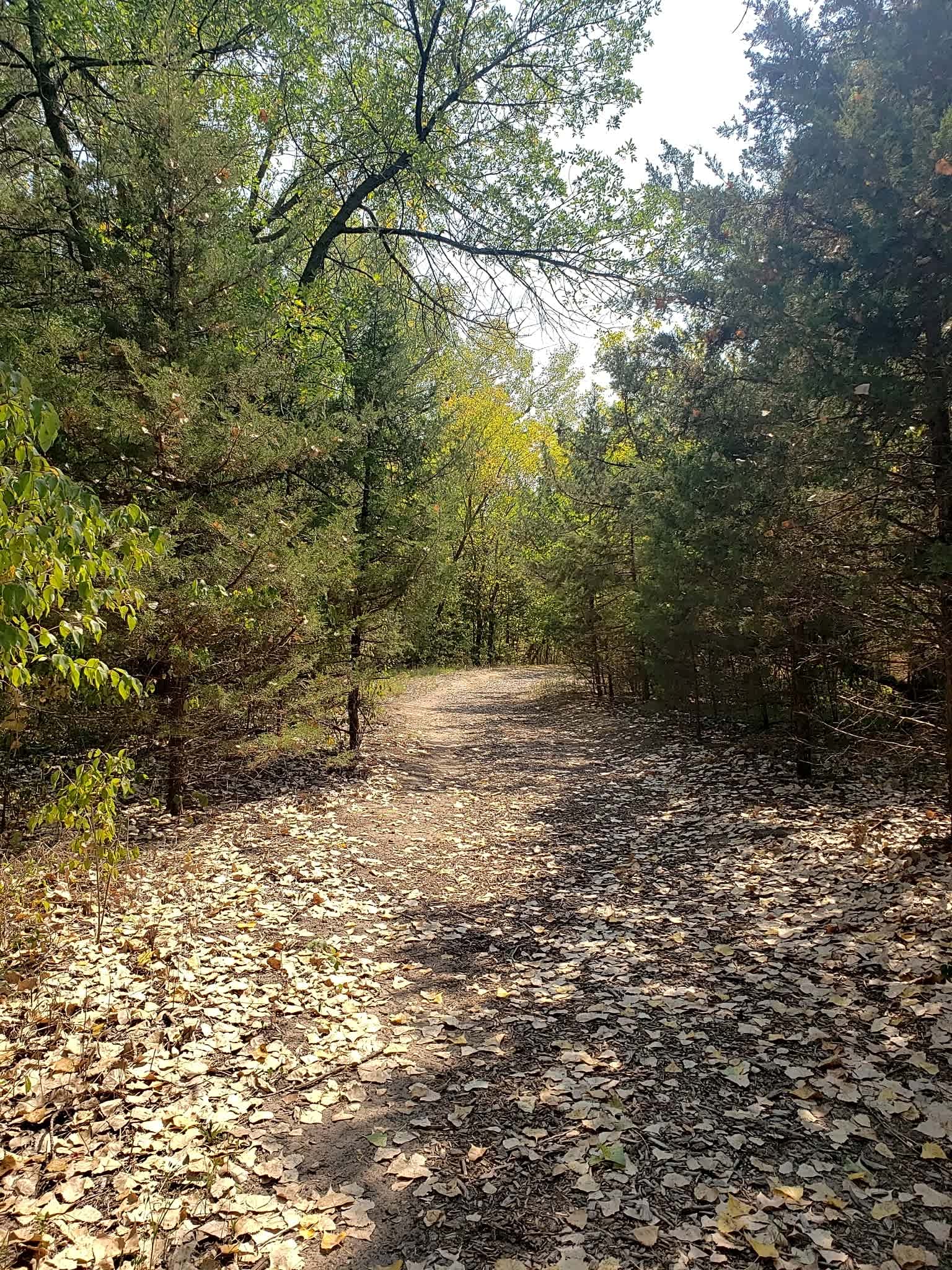 Bader Park