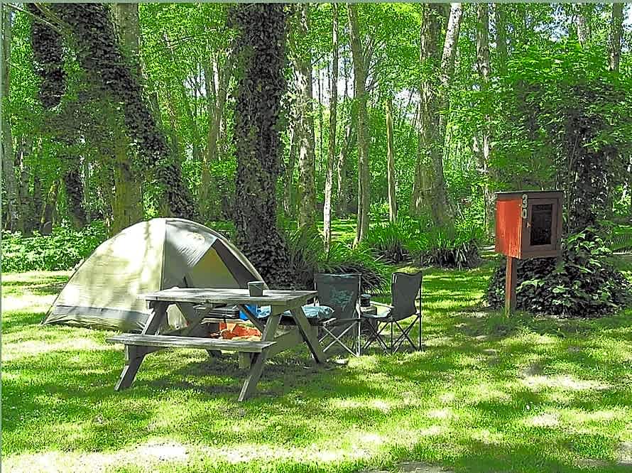 Dinosaur Valley RV Park