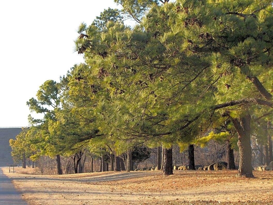 Eagle’s View RV Park