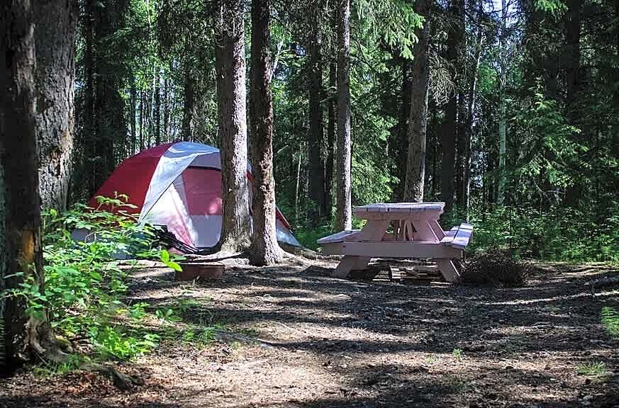 Tanana Valley Campground