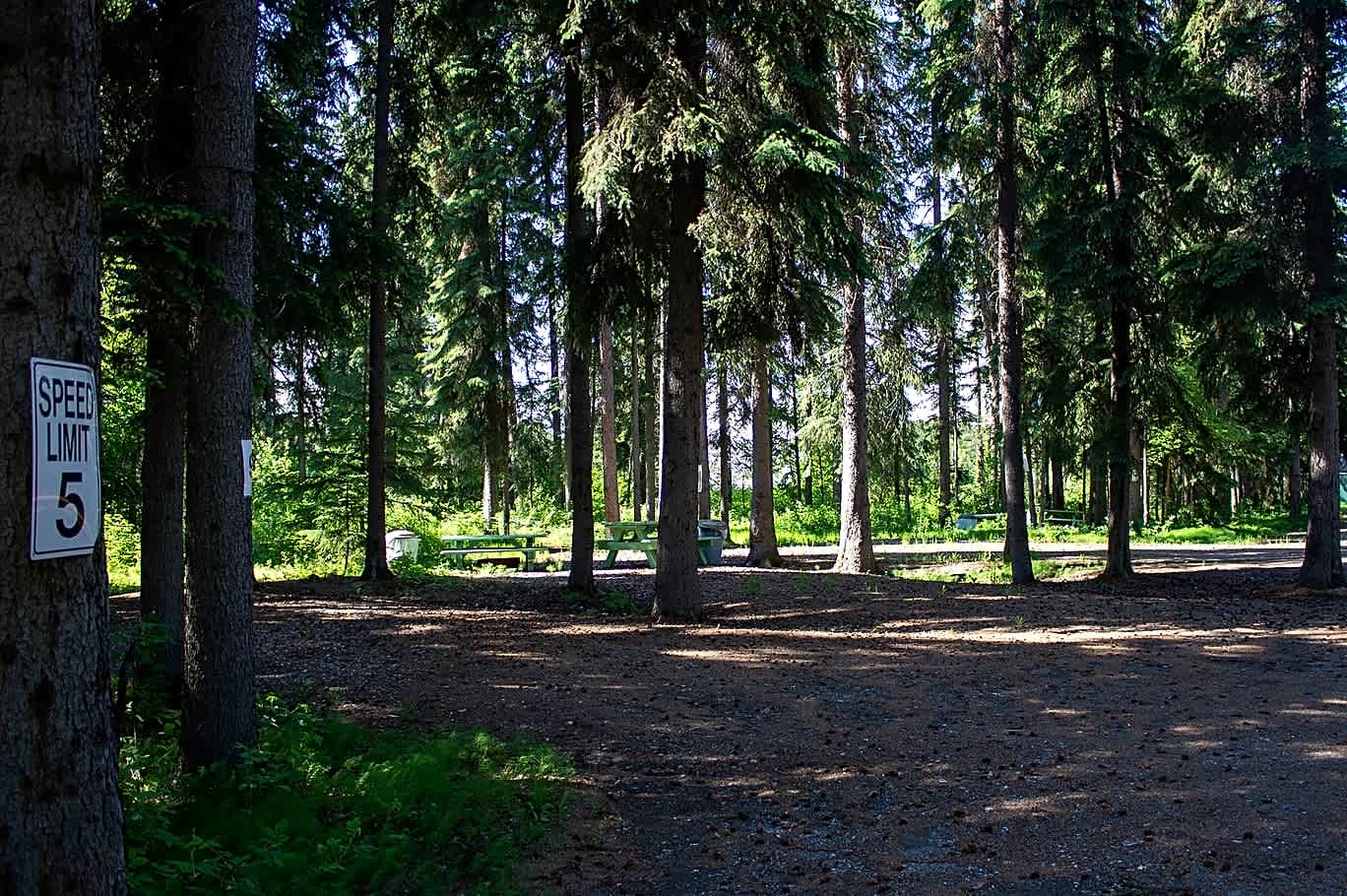 Tanana Valley Campground