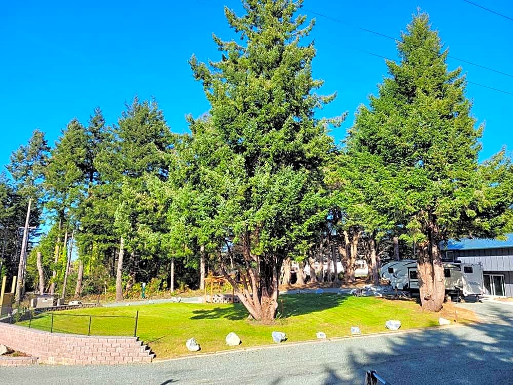 Cypress Hills RV Campground