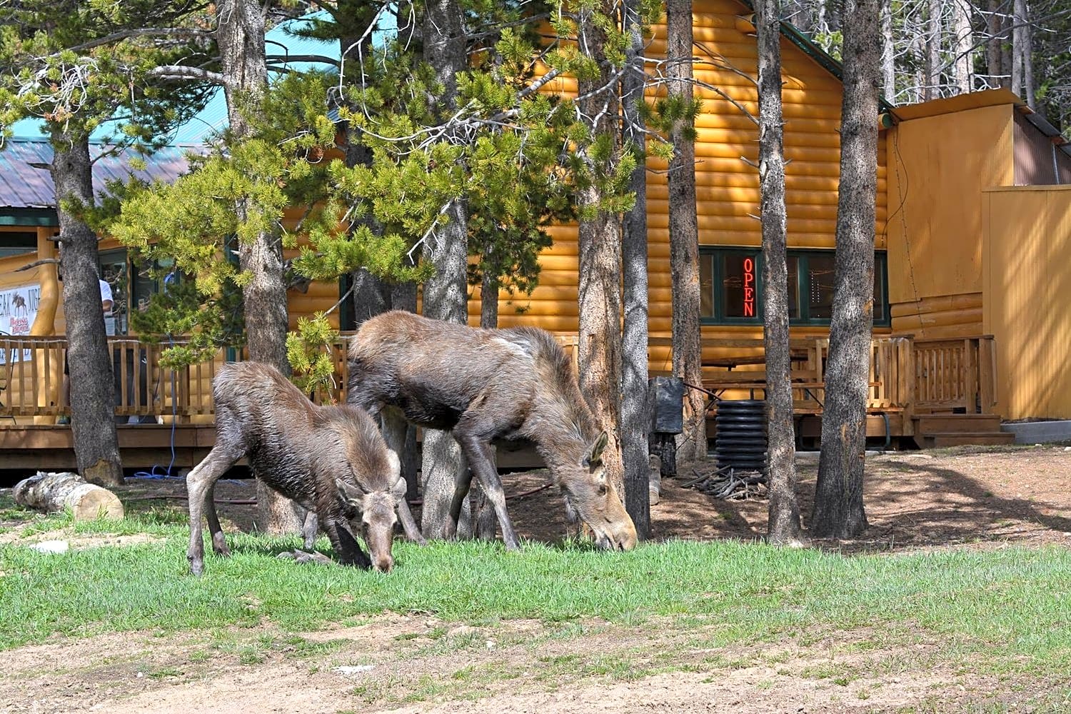 Arrowhead Lodge