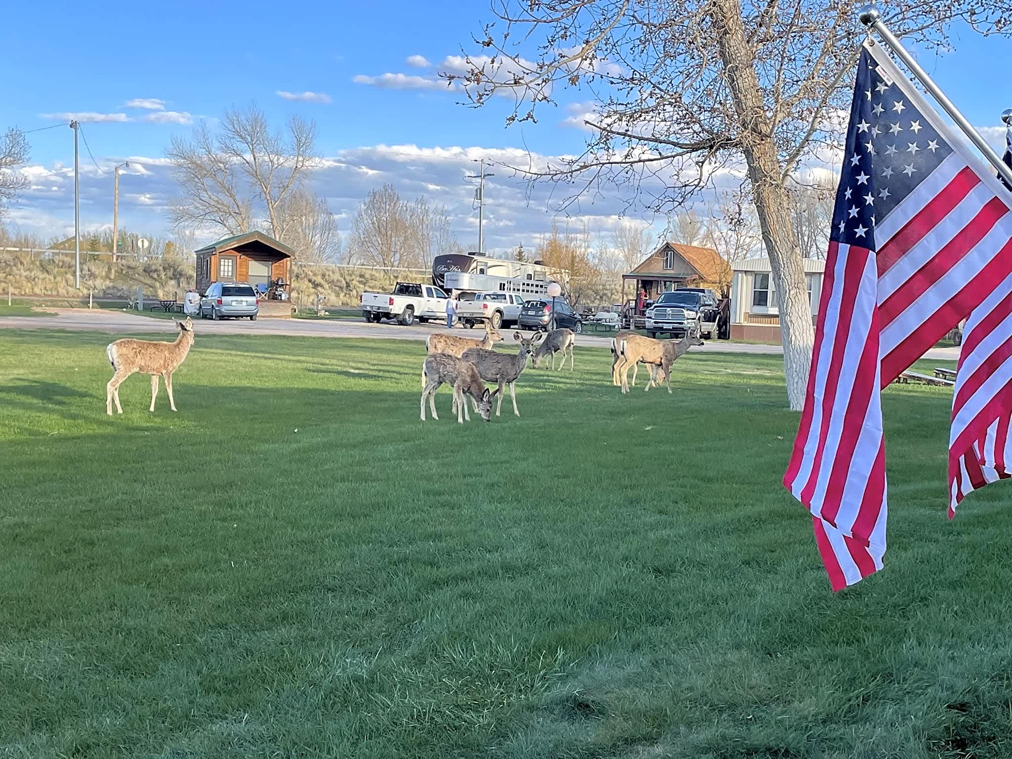 Deer Haven RV Park