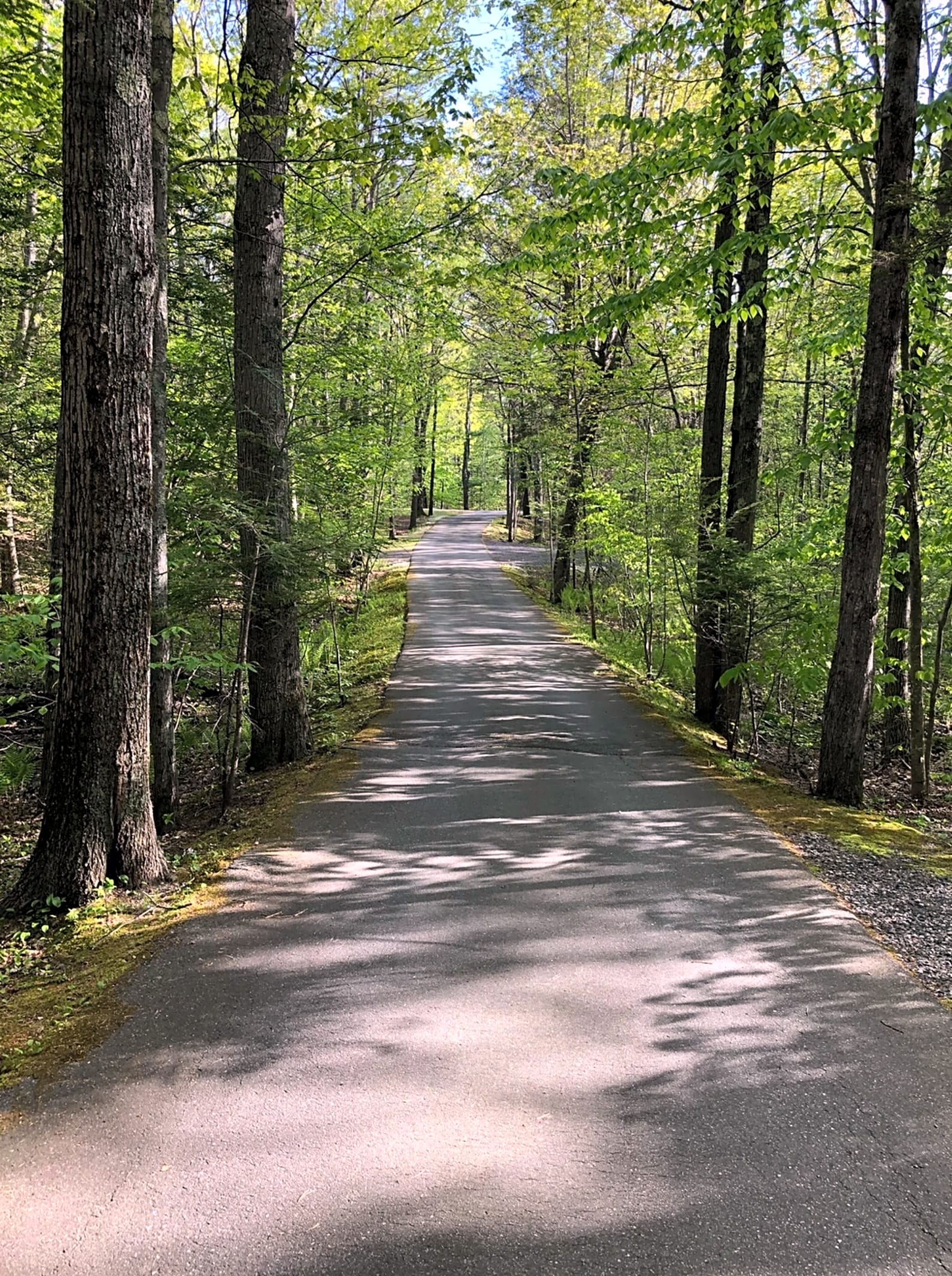Dixon's Coastal Maine Campground