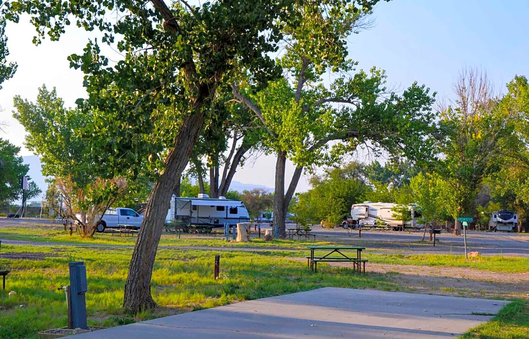 Shady Acres