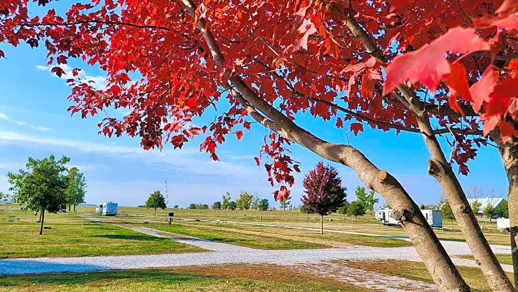 Amana RV Park & Event Center