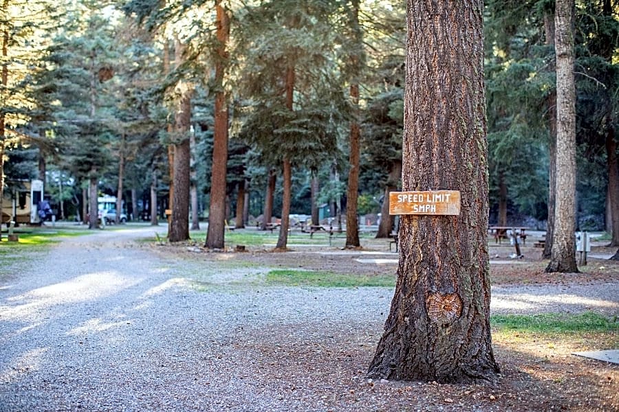 Blue Spruce RV Park & Cabins