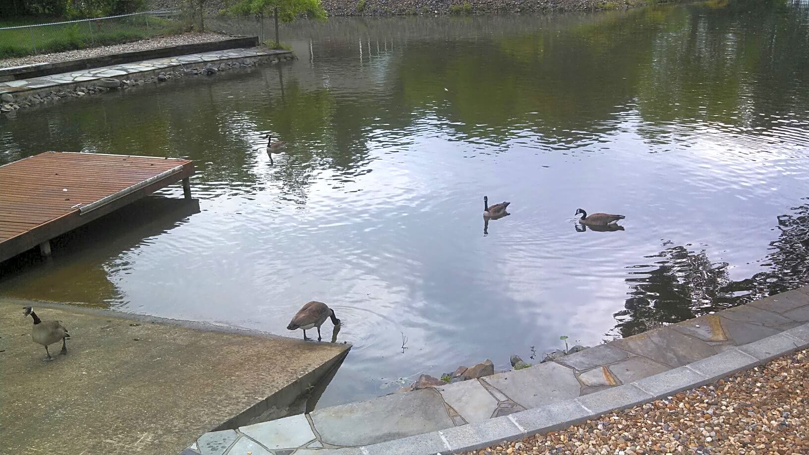 Leisure Landing RV Park