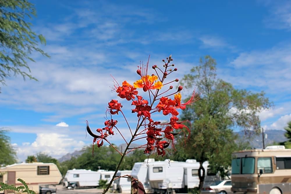 Miracle RV Resort