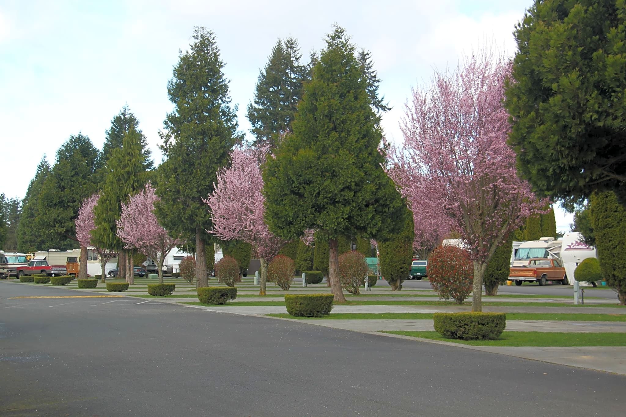 Midway RV Park