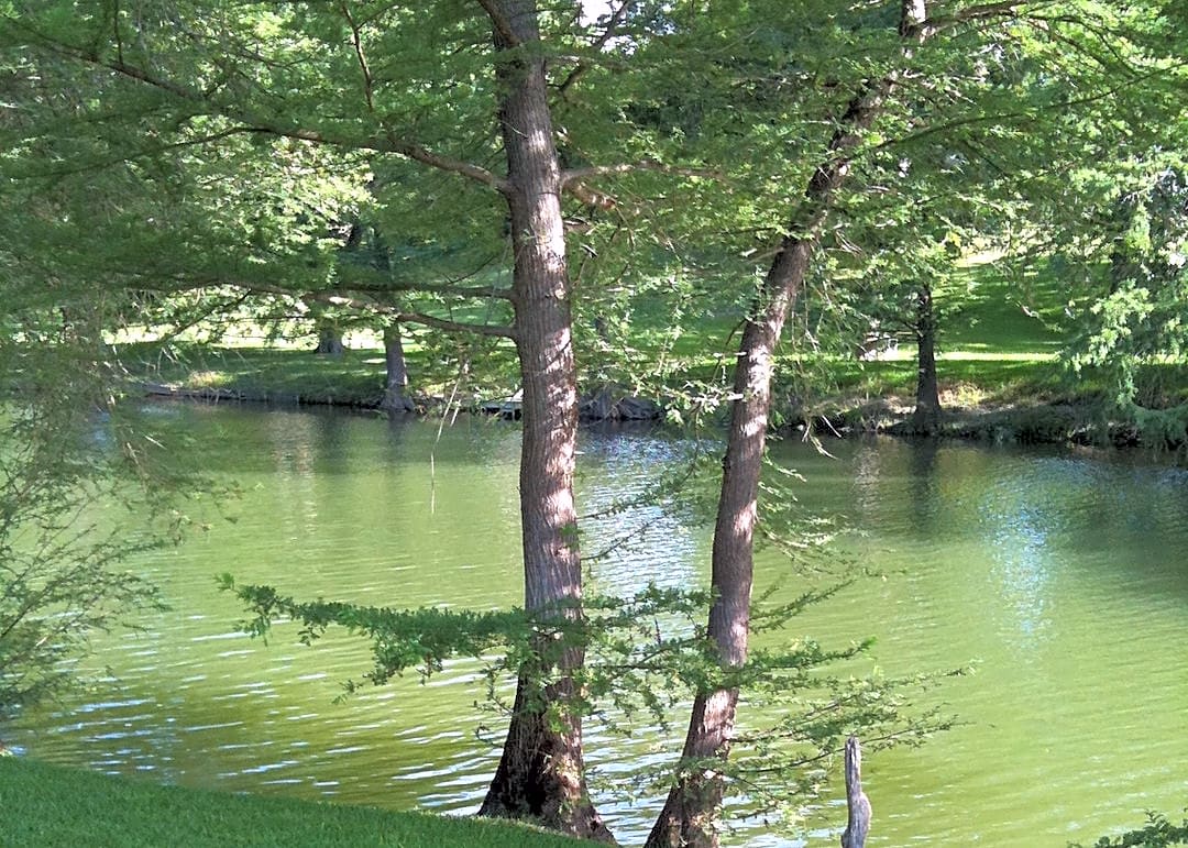 Hidden View RV Park
