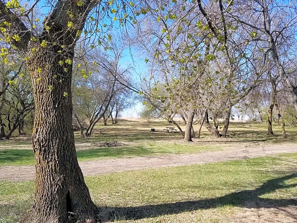 Jamestown's Best RV Park