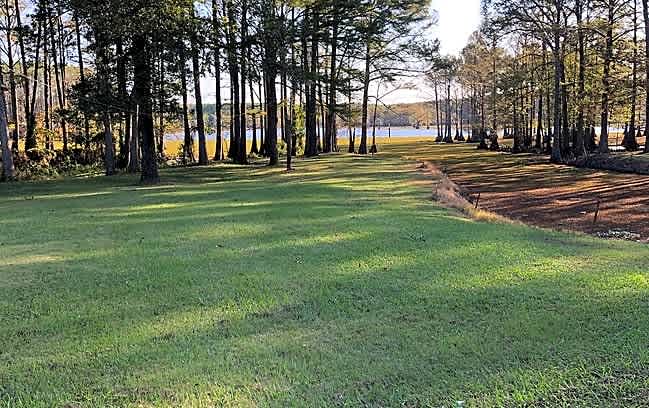 Tucker's Camp