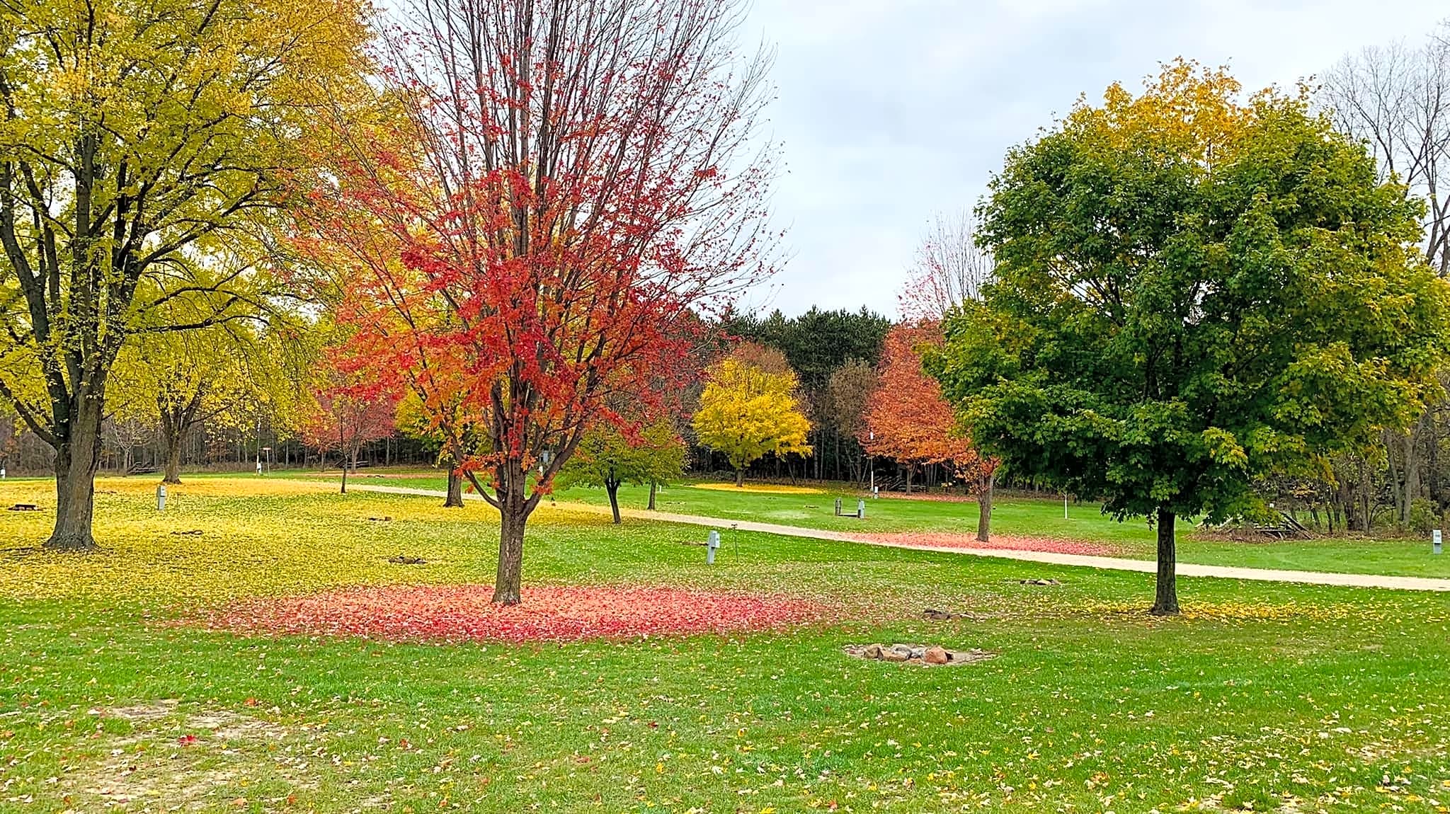 Silver Springs Campsites