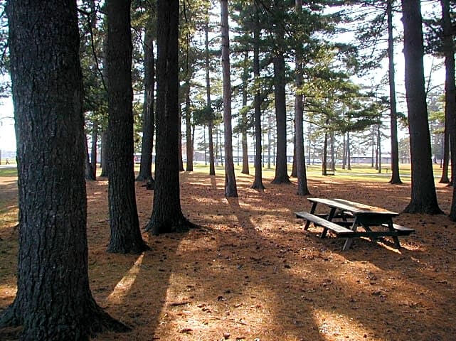 Badger Campground