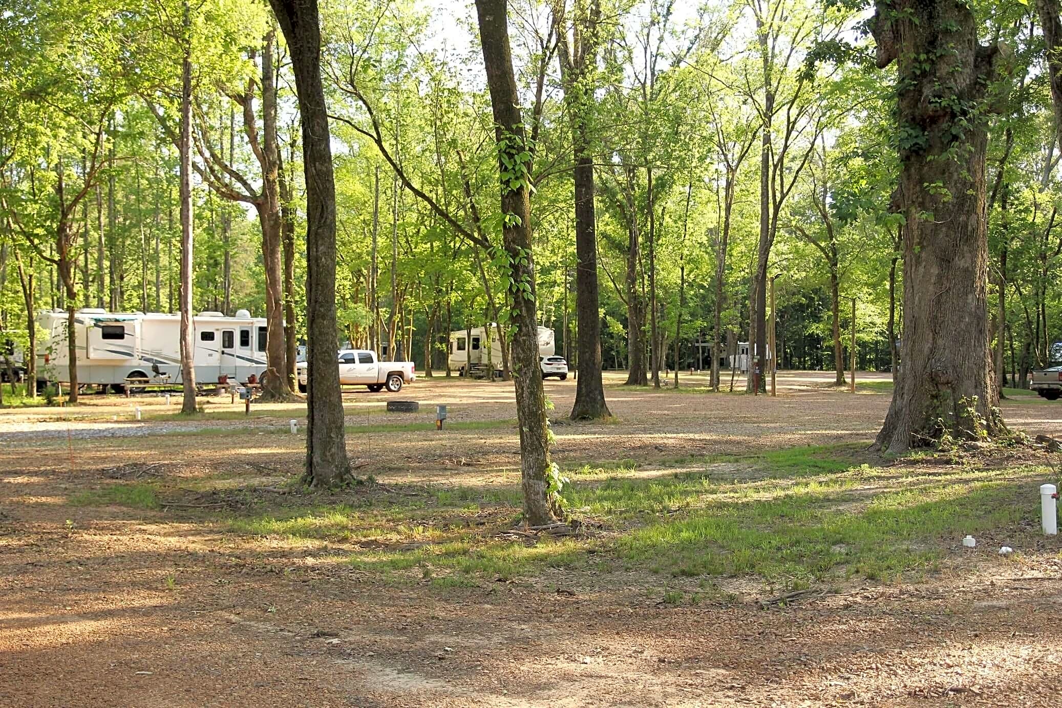 Purdie Creek Campground