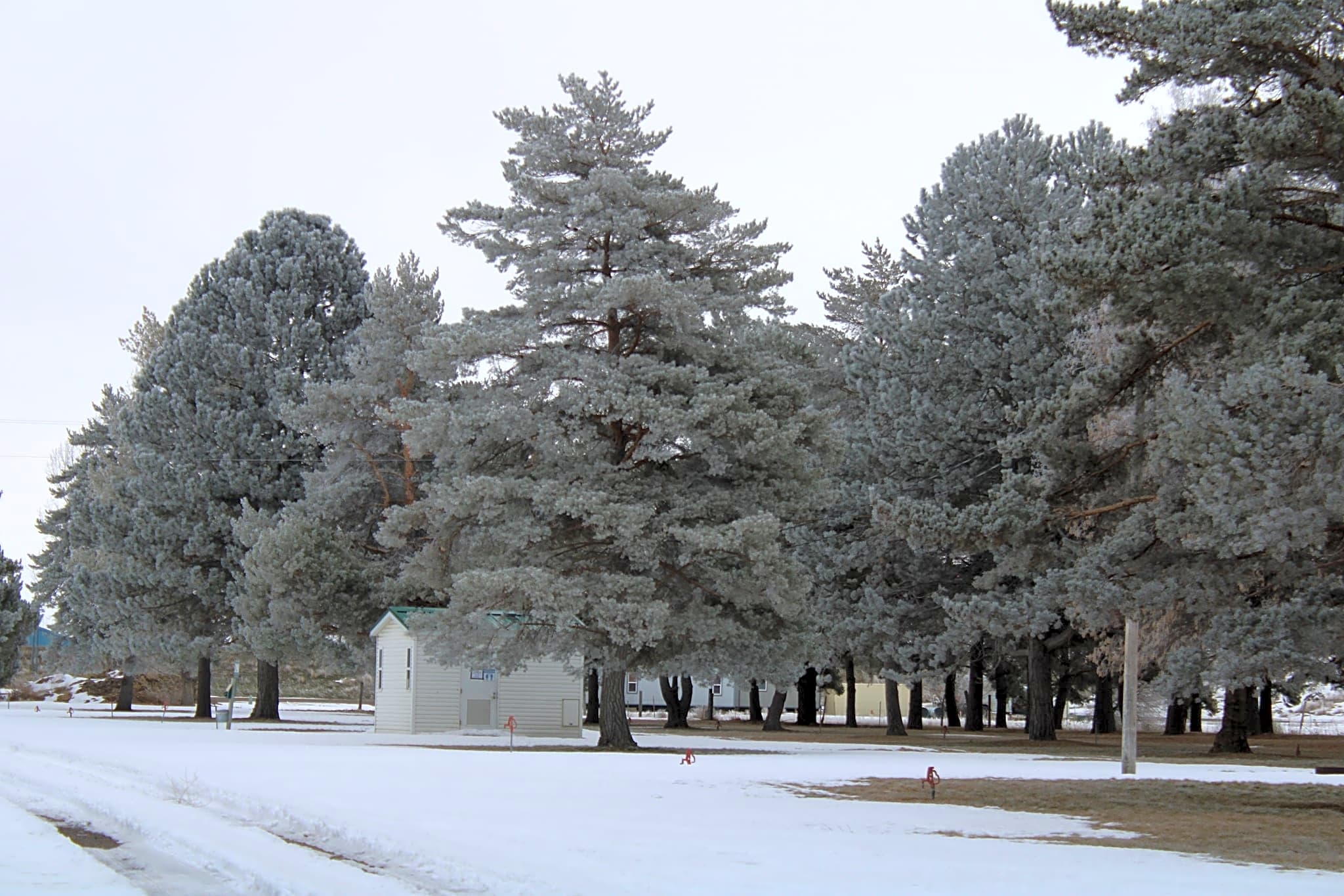 Village of the Trees RV Resort