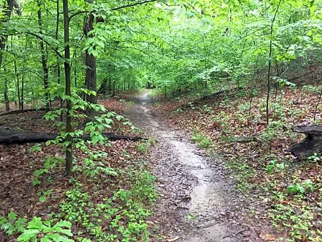 Prince William Forest RV Campground