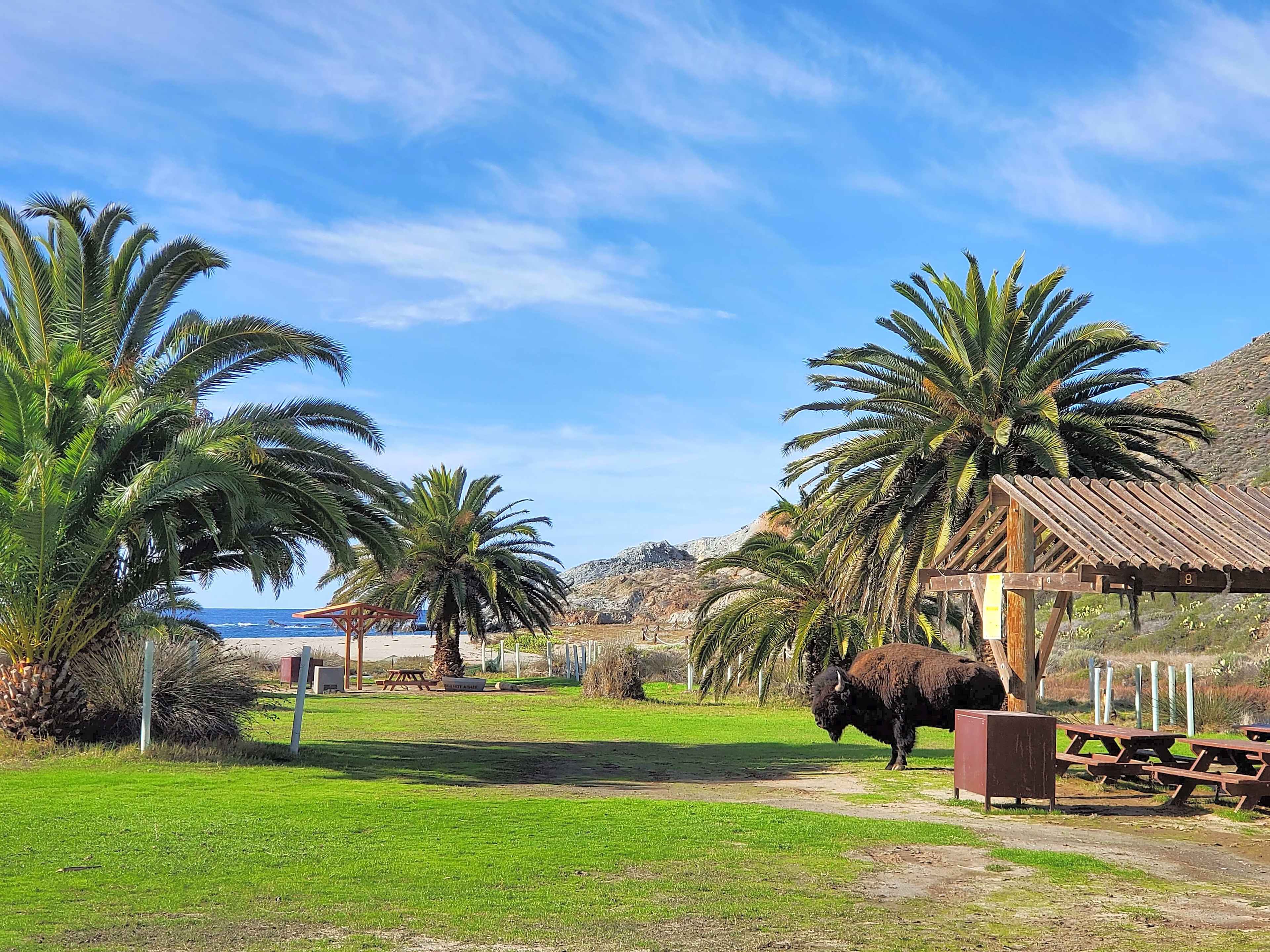 Catalina Island Company