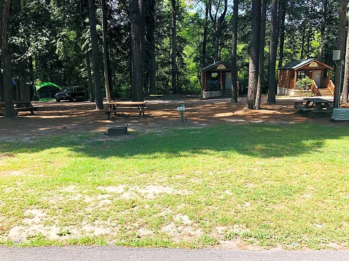 Tall Pines Campground Resort
