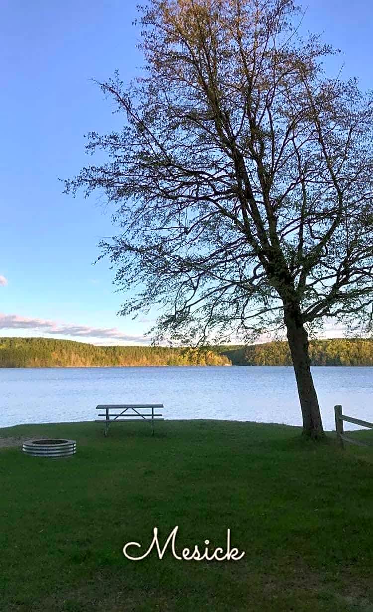 Northern Exposure Campground