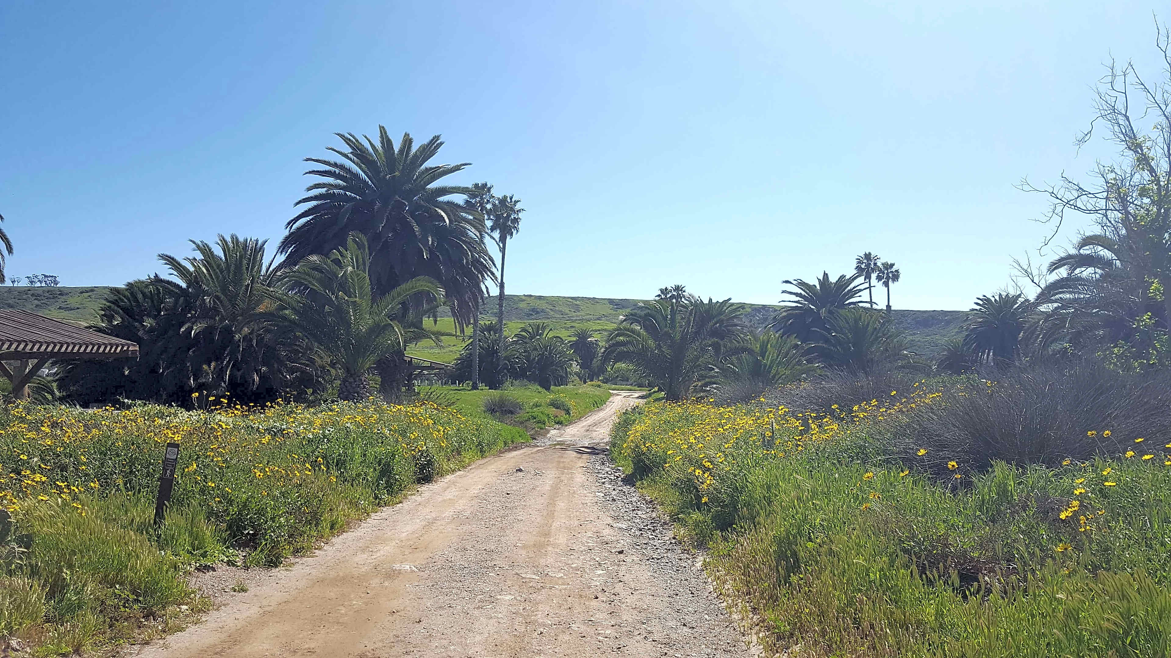 Catalina Island Company