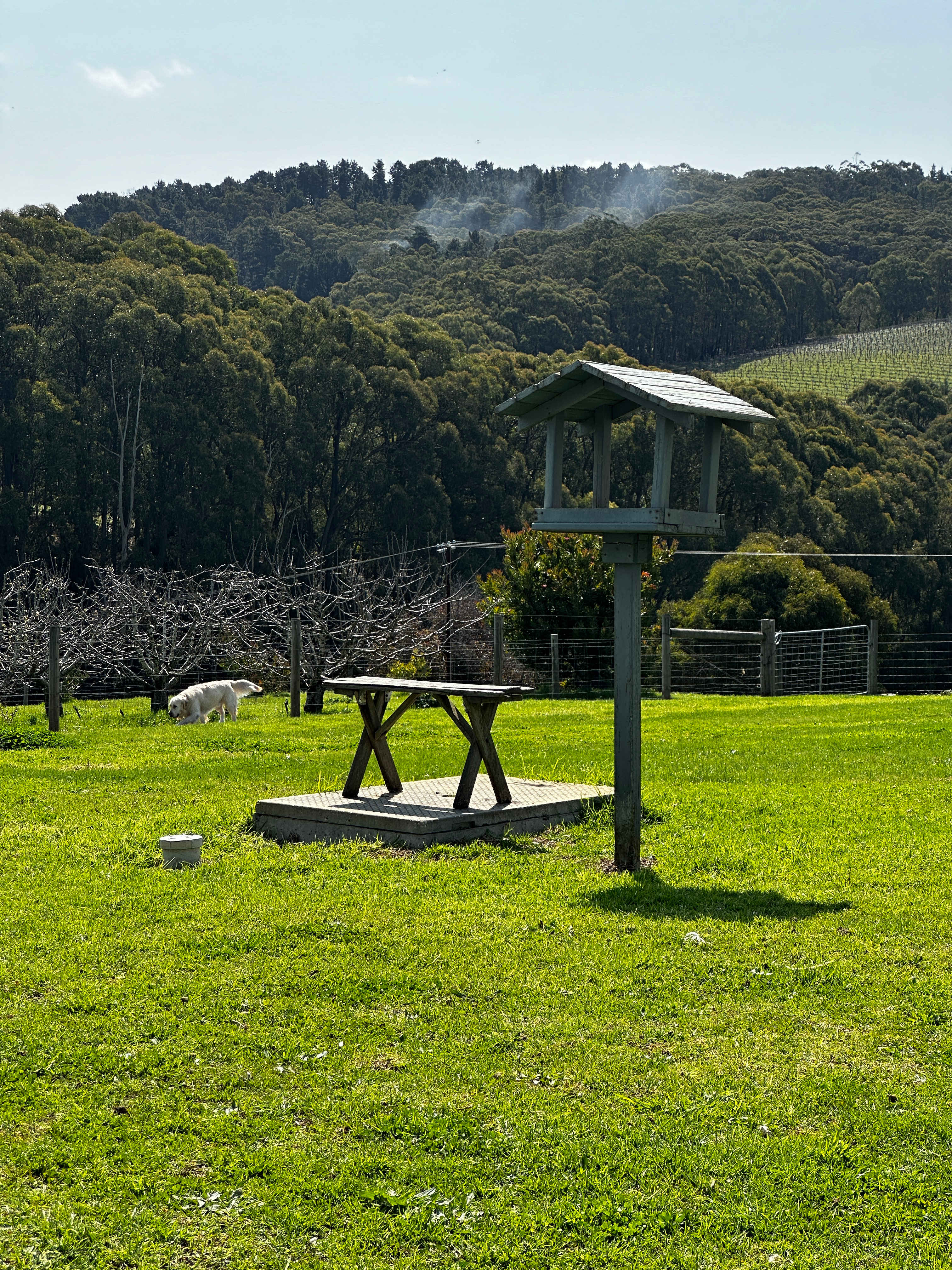Stone’s Summertown Cherry Farm