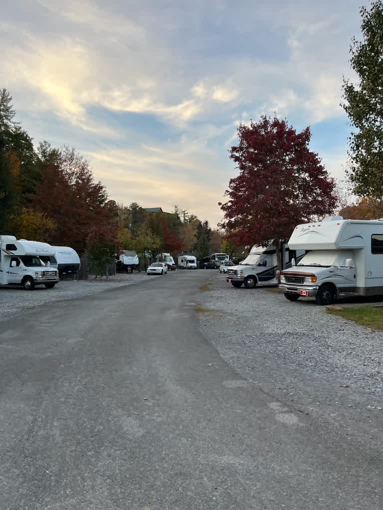 Holy Smokies Rv Park And Glamping