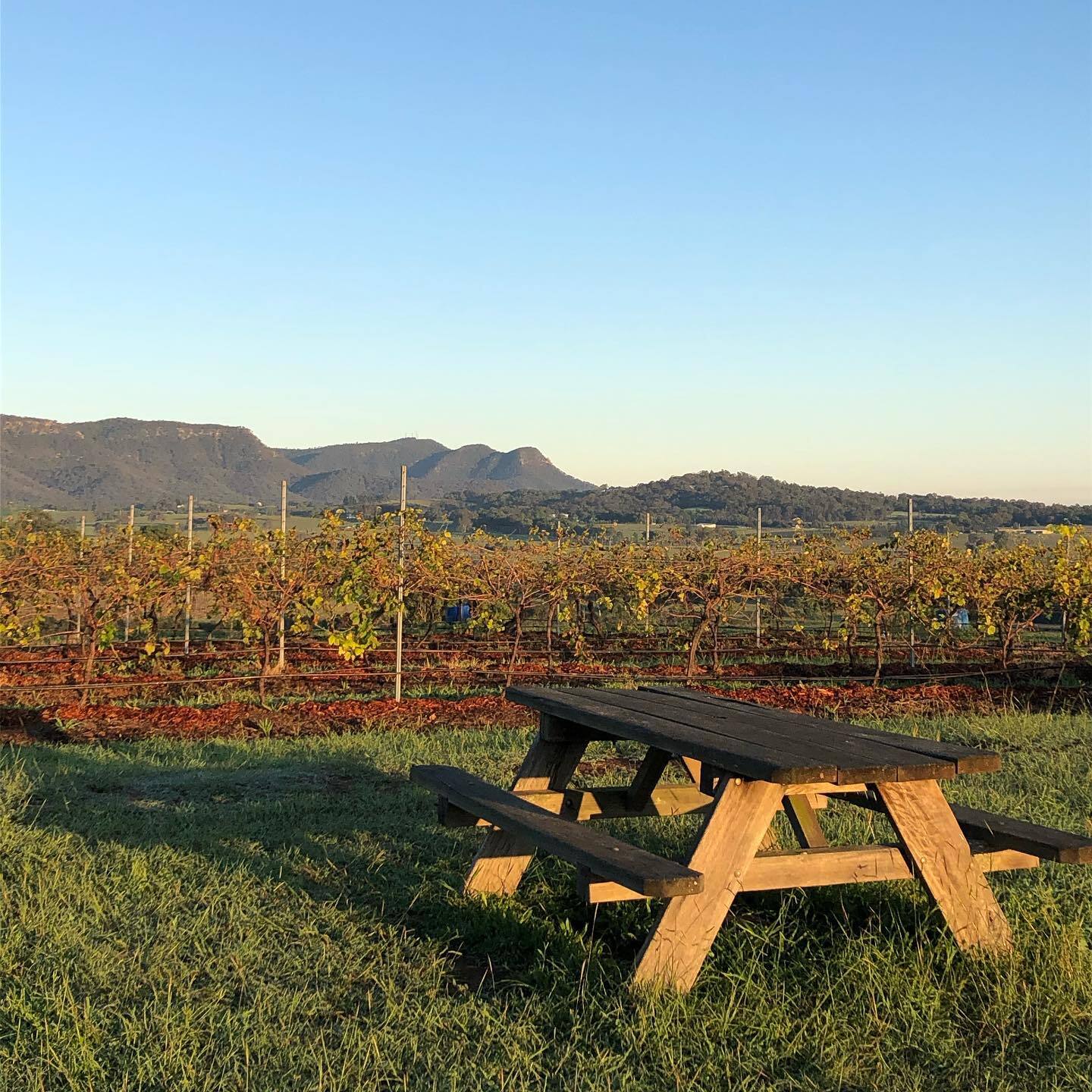 Mira Wines