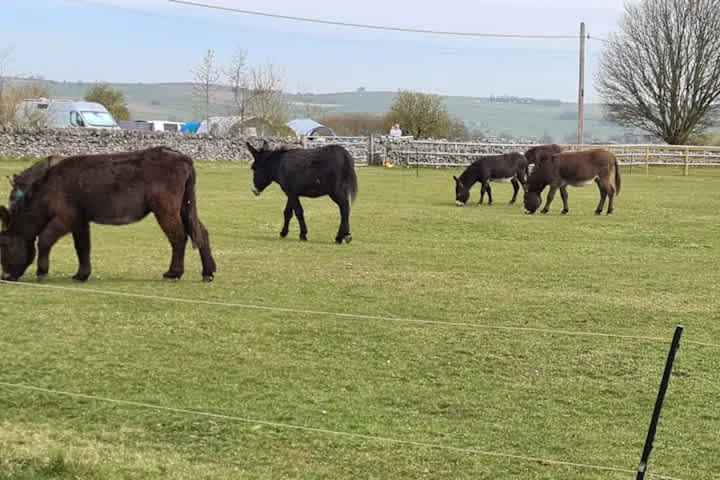 Greystones Nawab Camping