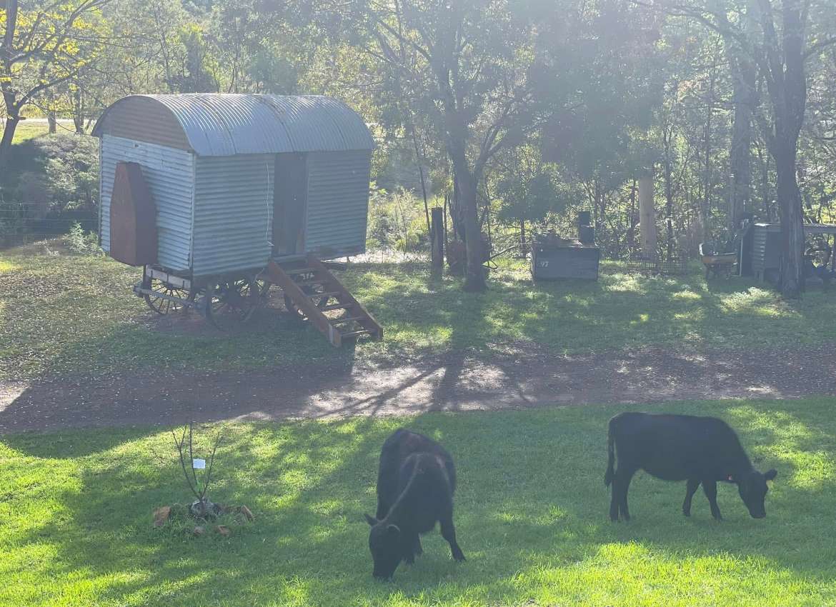 Putty Valley Farm