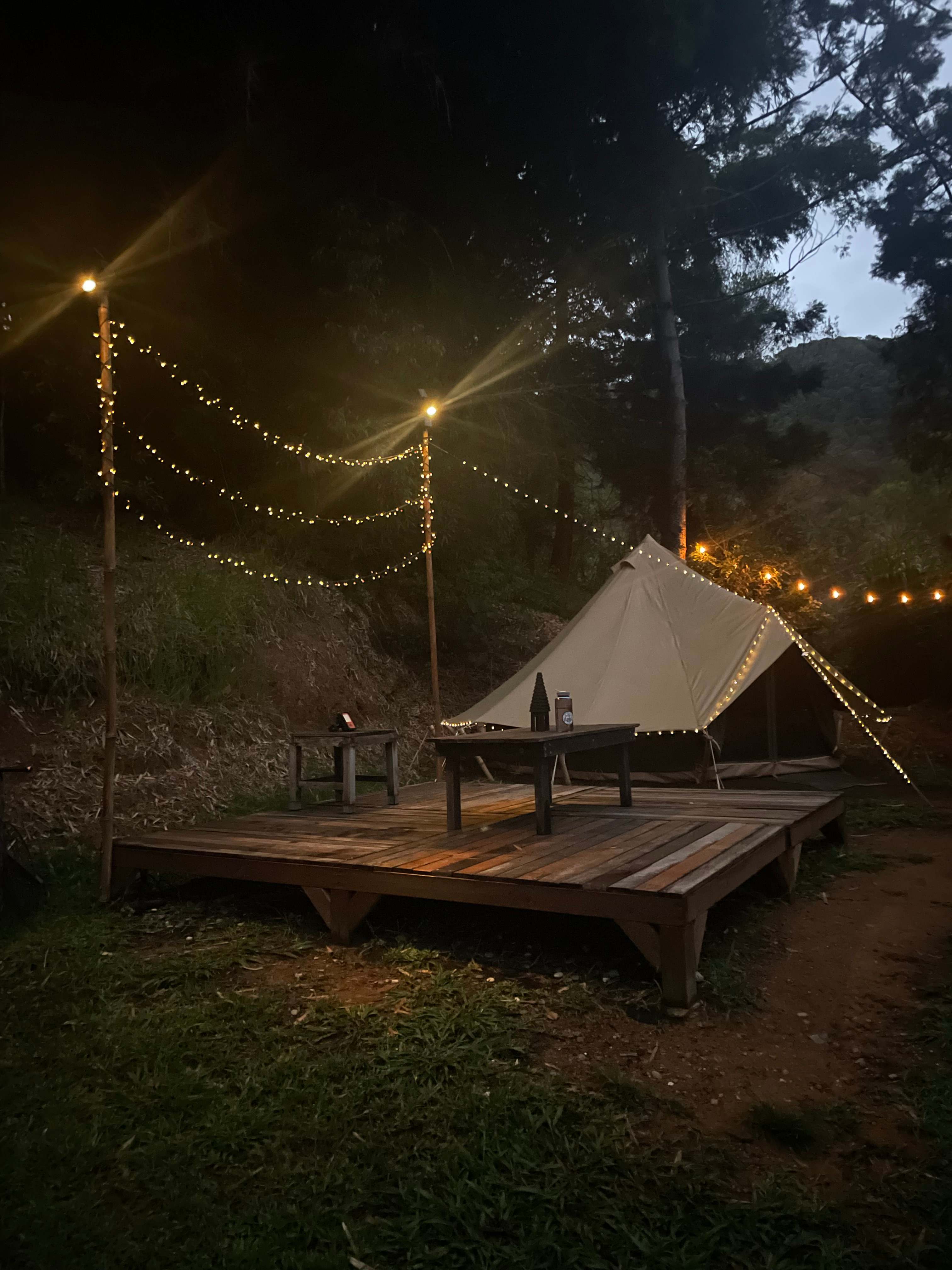 A Tent in The Forest
