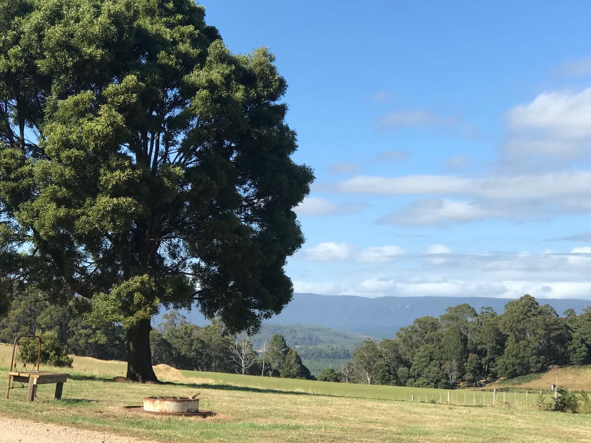 Sunridge Valley Views