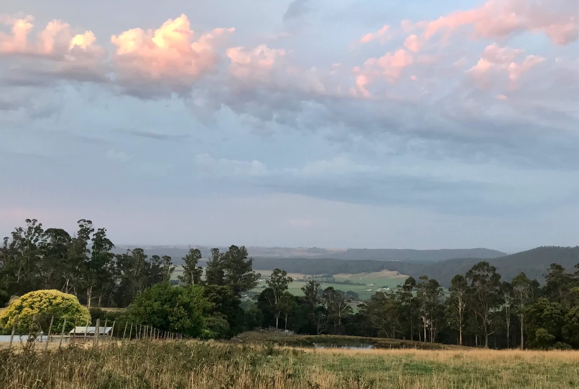 Sunridge Valley Views