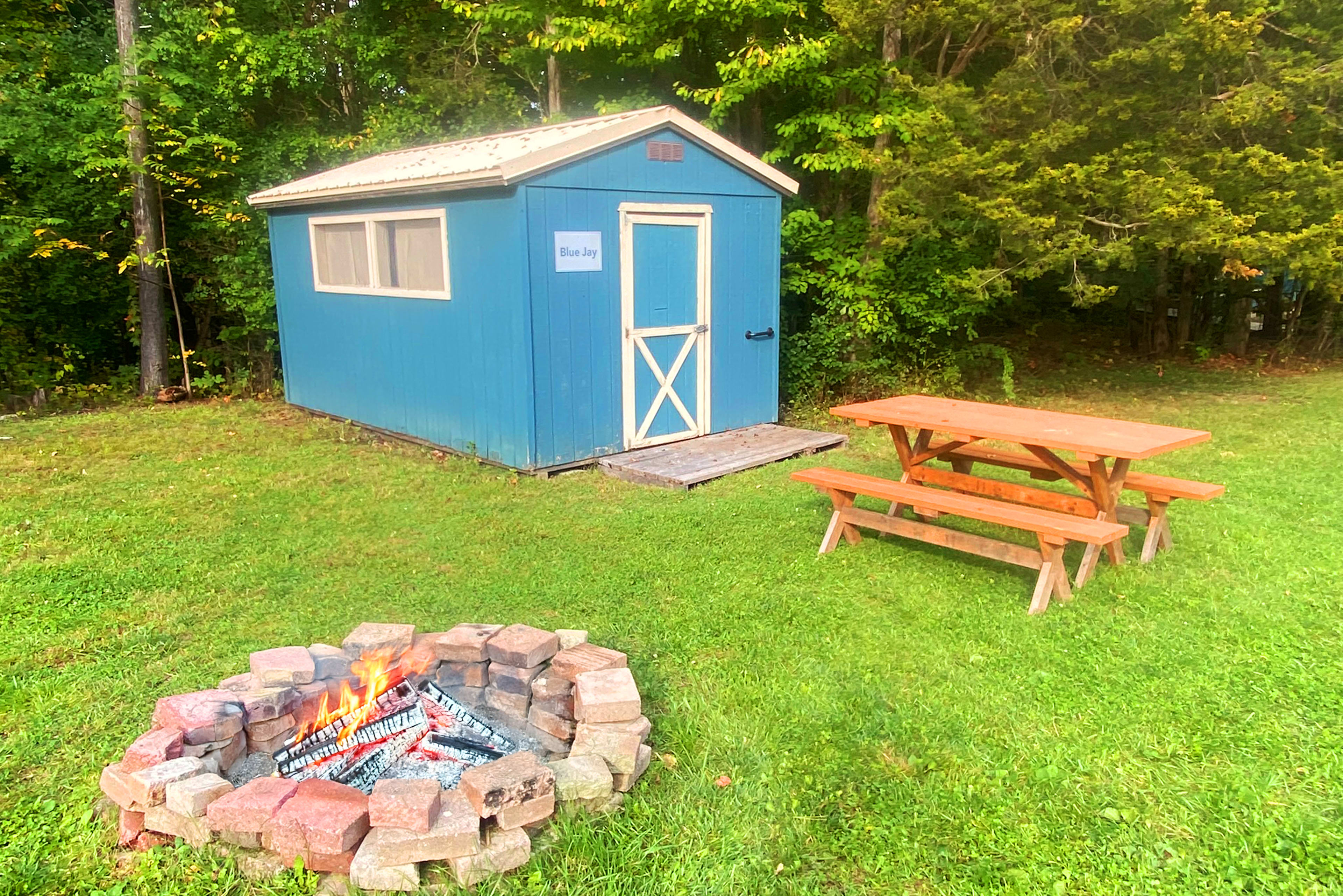Picture of the site