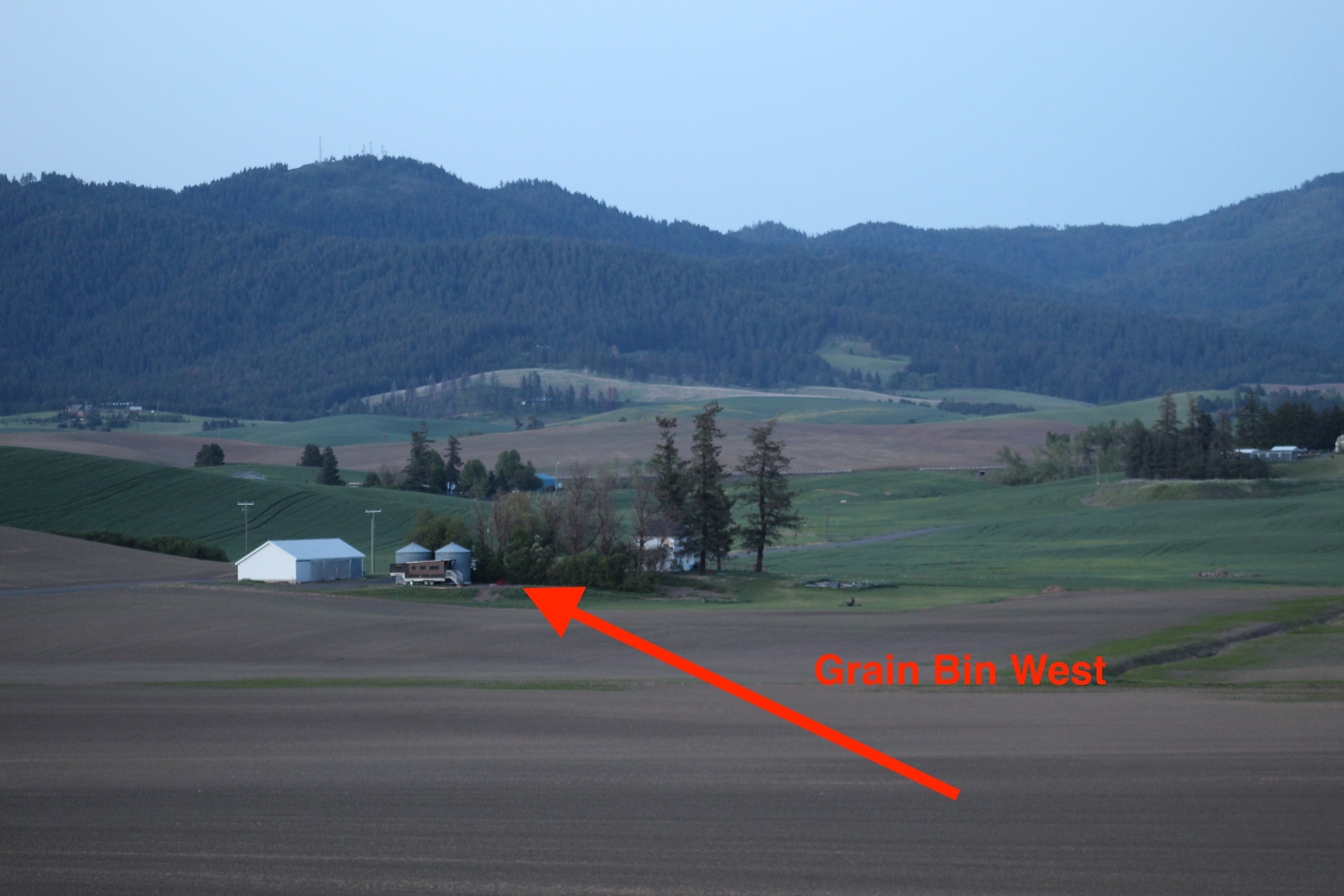 Wheat and Beans