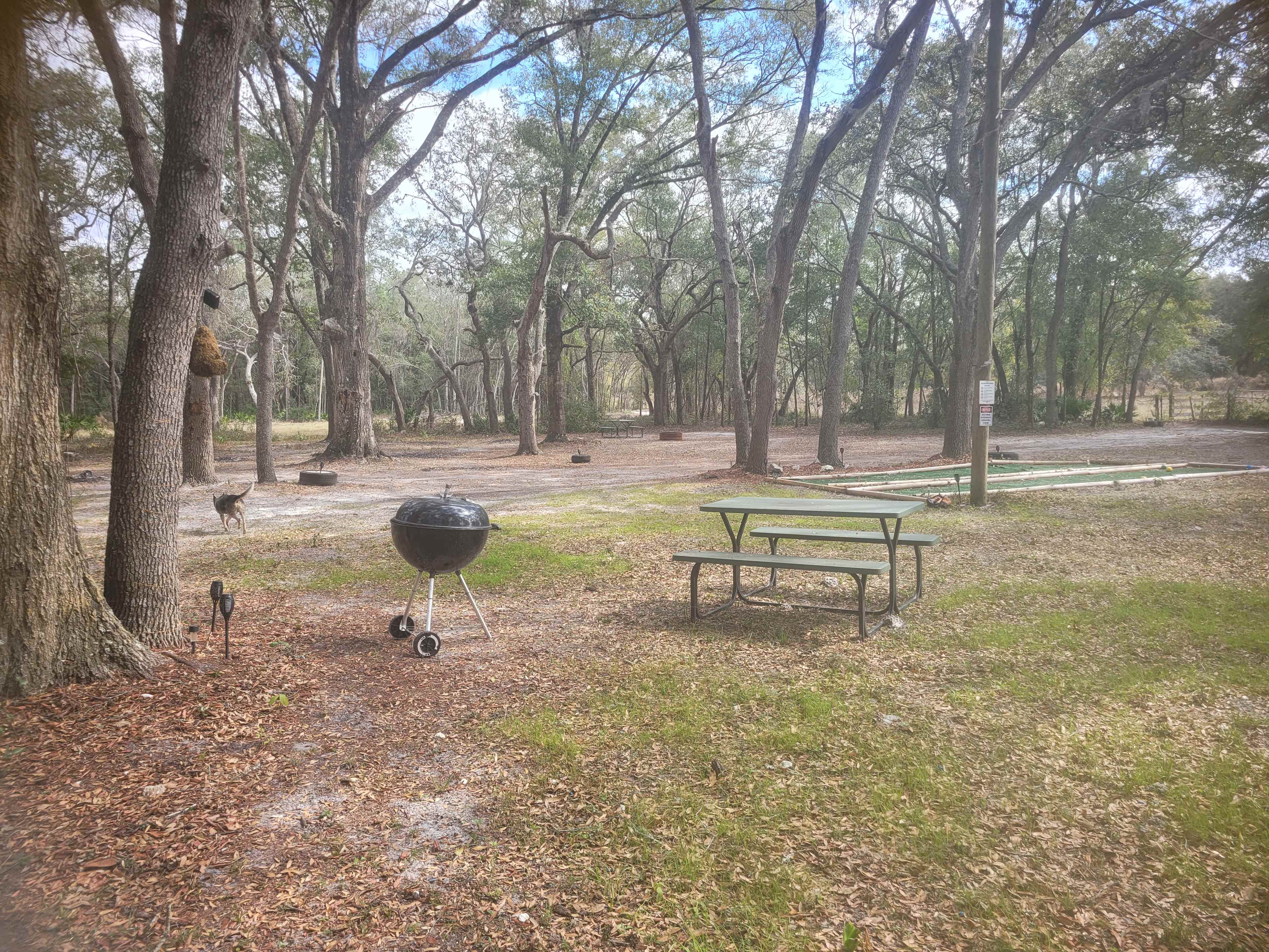 Nature's hug camping