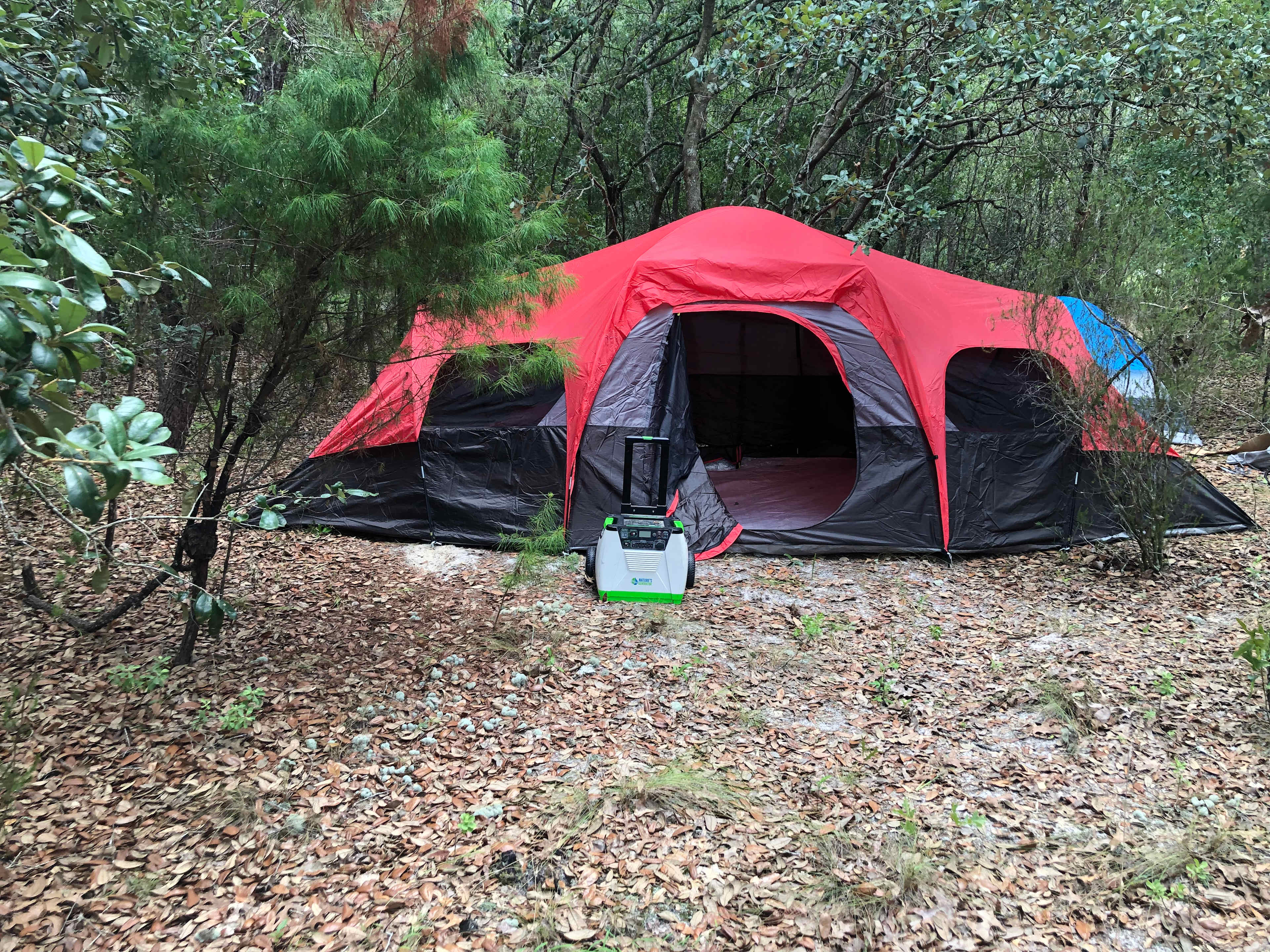 Kingdom Kamp