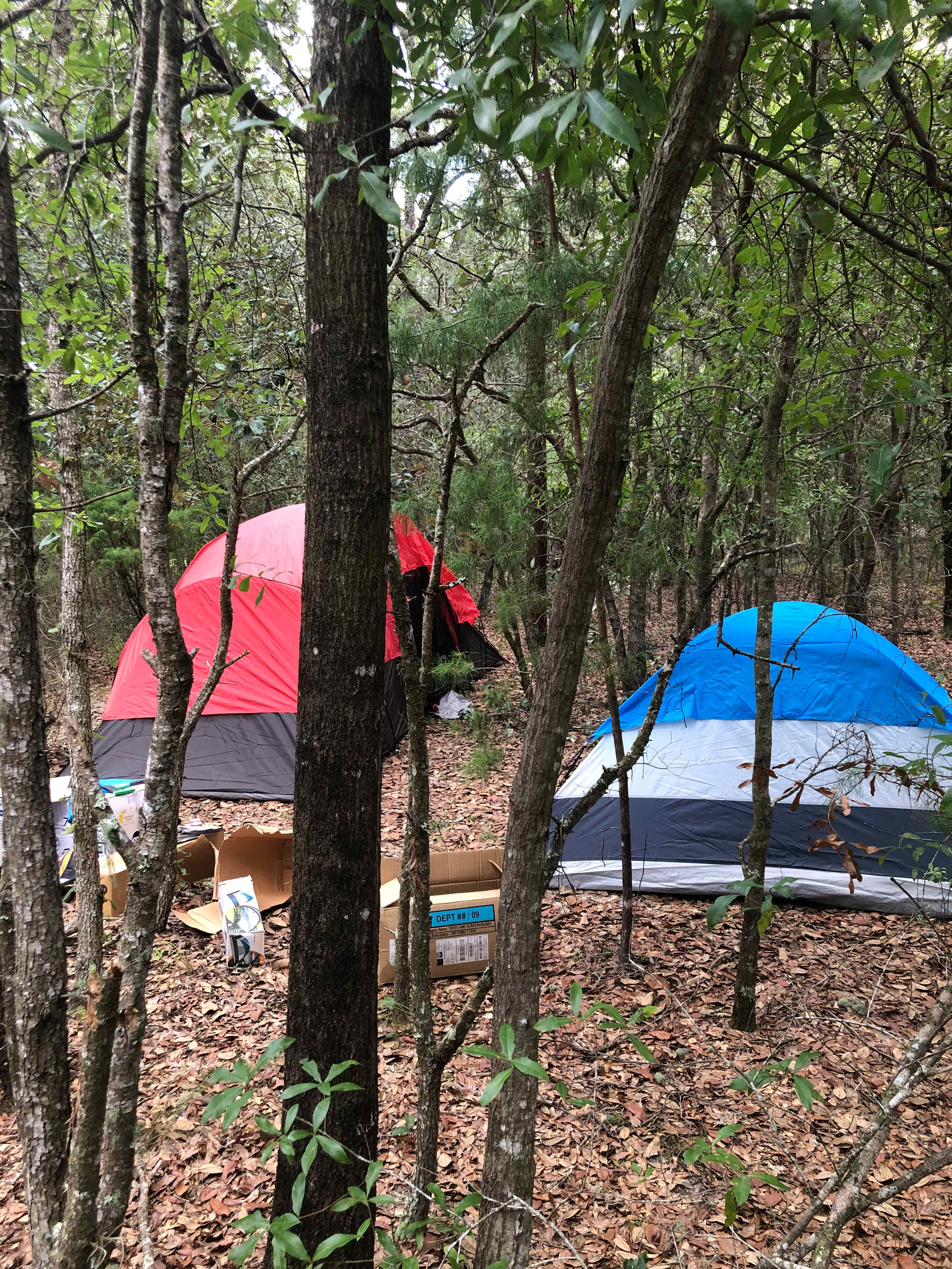 Kingdom Kamp