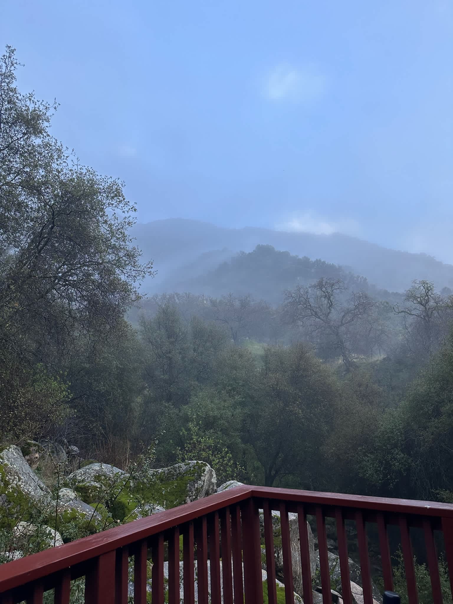 Sequoia Treehouse On the Rocks