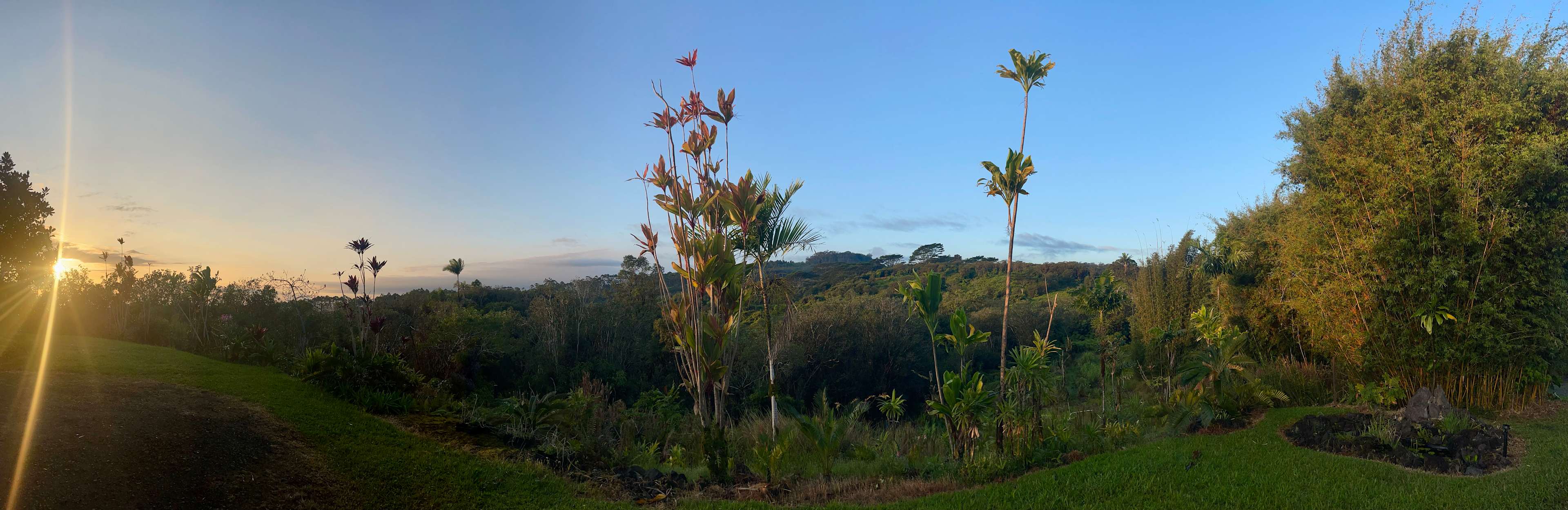 IO's NEST LOOKOUT on the Hamakua