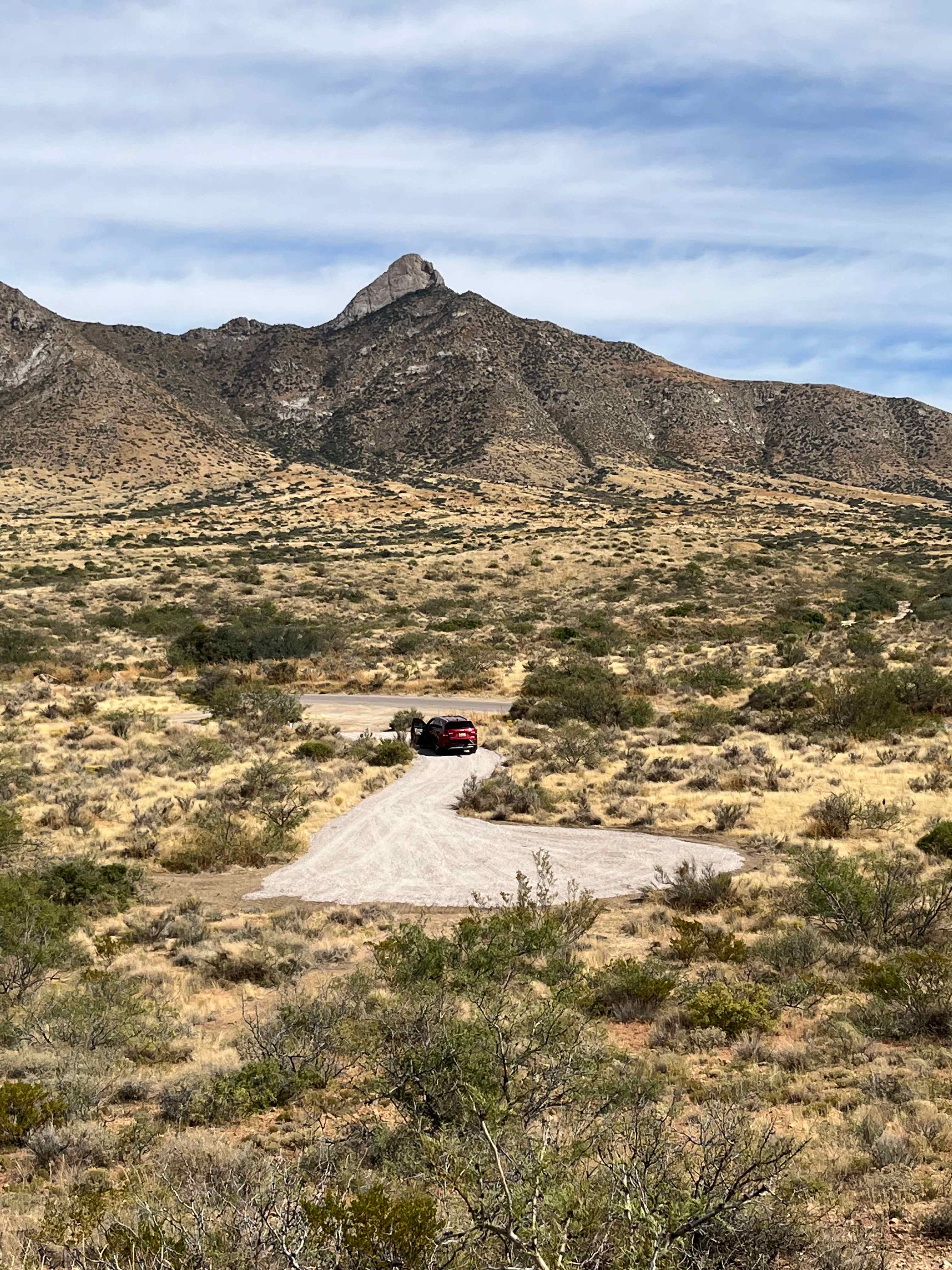 Organ Mountain Views