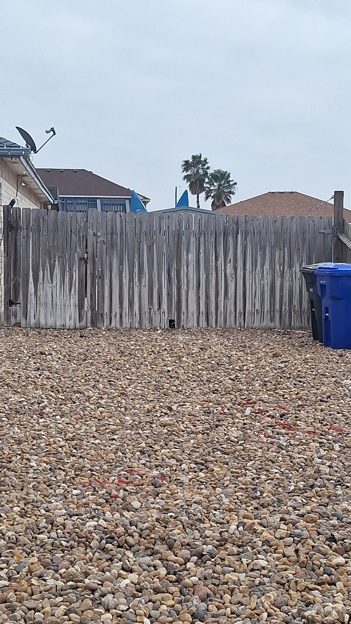 North South Padre Island Paradise