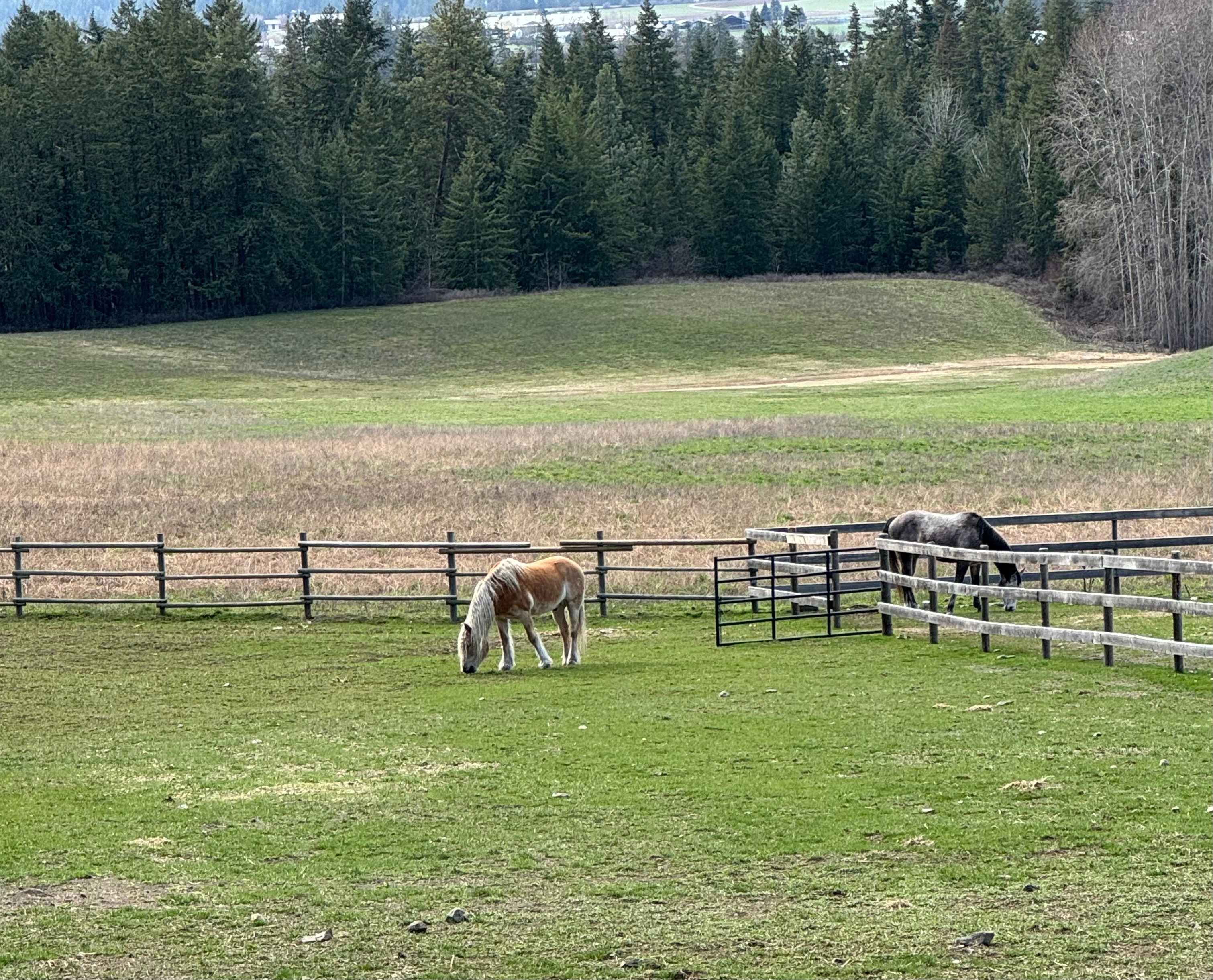 Haven Hill Family Farm