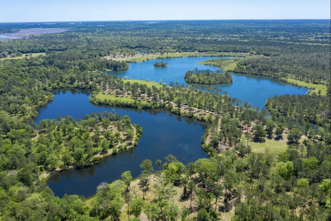 Woodlands Nature Reserve