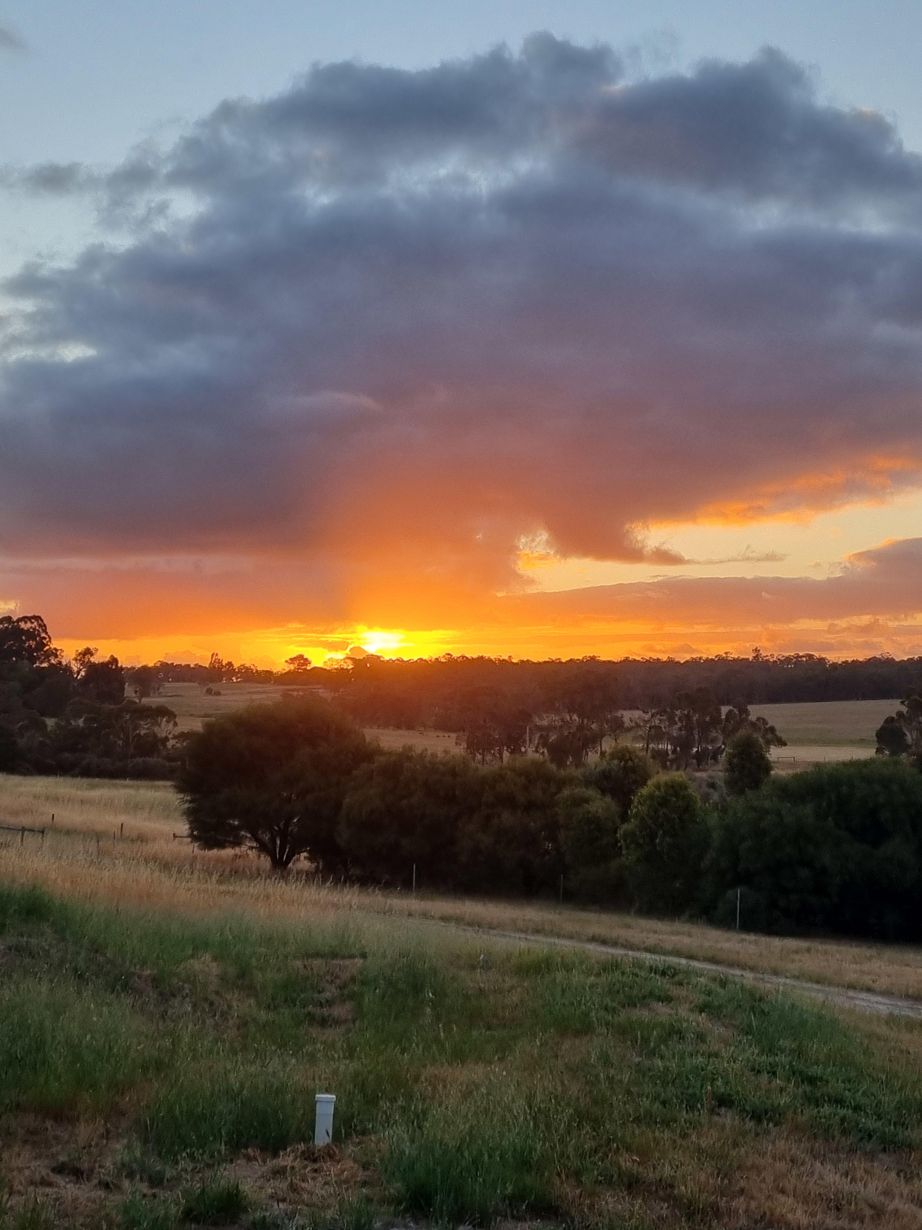 Corymbia Farm