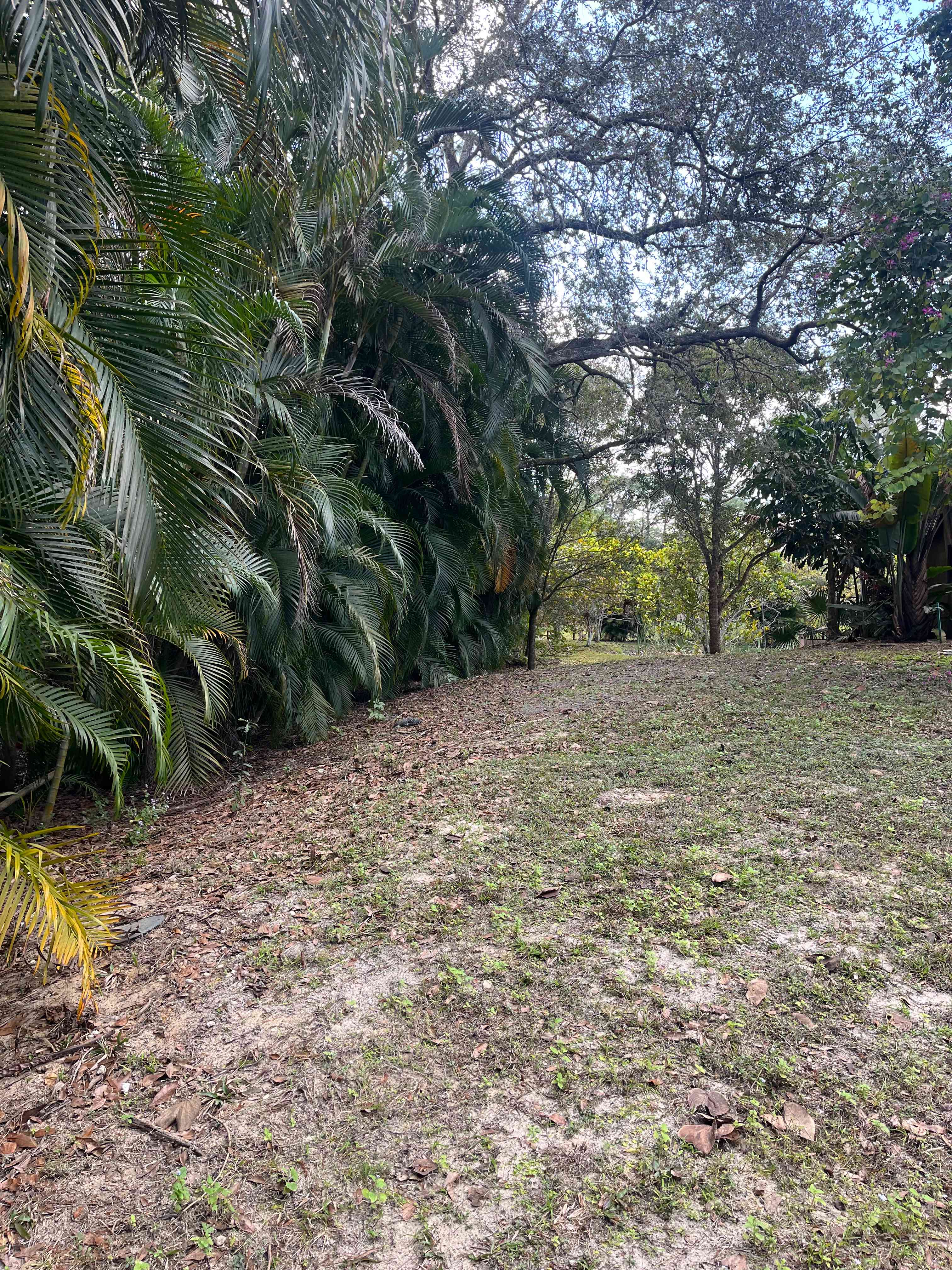 Jungle Bloom RV & Camping Escape